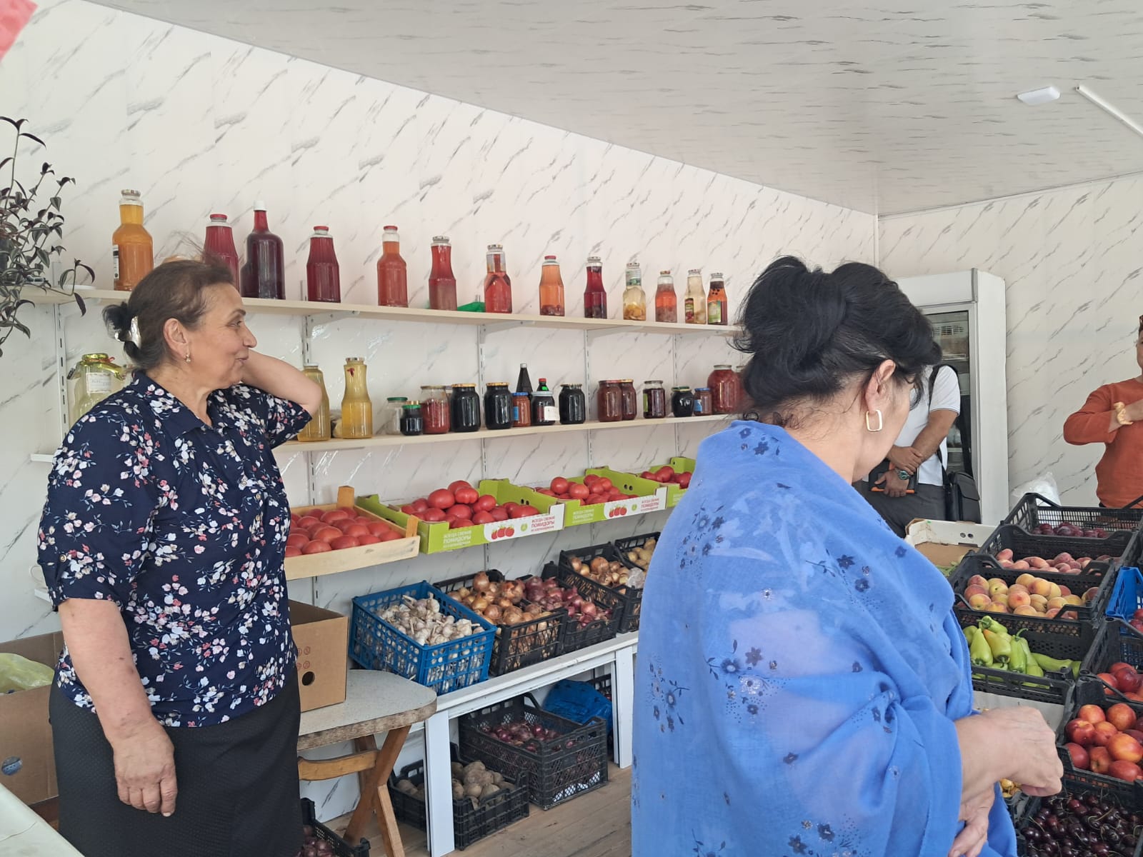 PROGRESS and WoW Projects Assess the Needs of Women-Led Cooperatives to Strengthen Climate-Resilient Fruit Processing in Northwest Azerbaijan