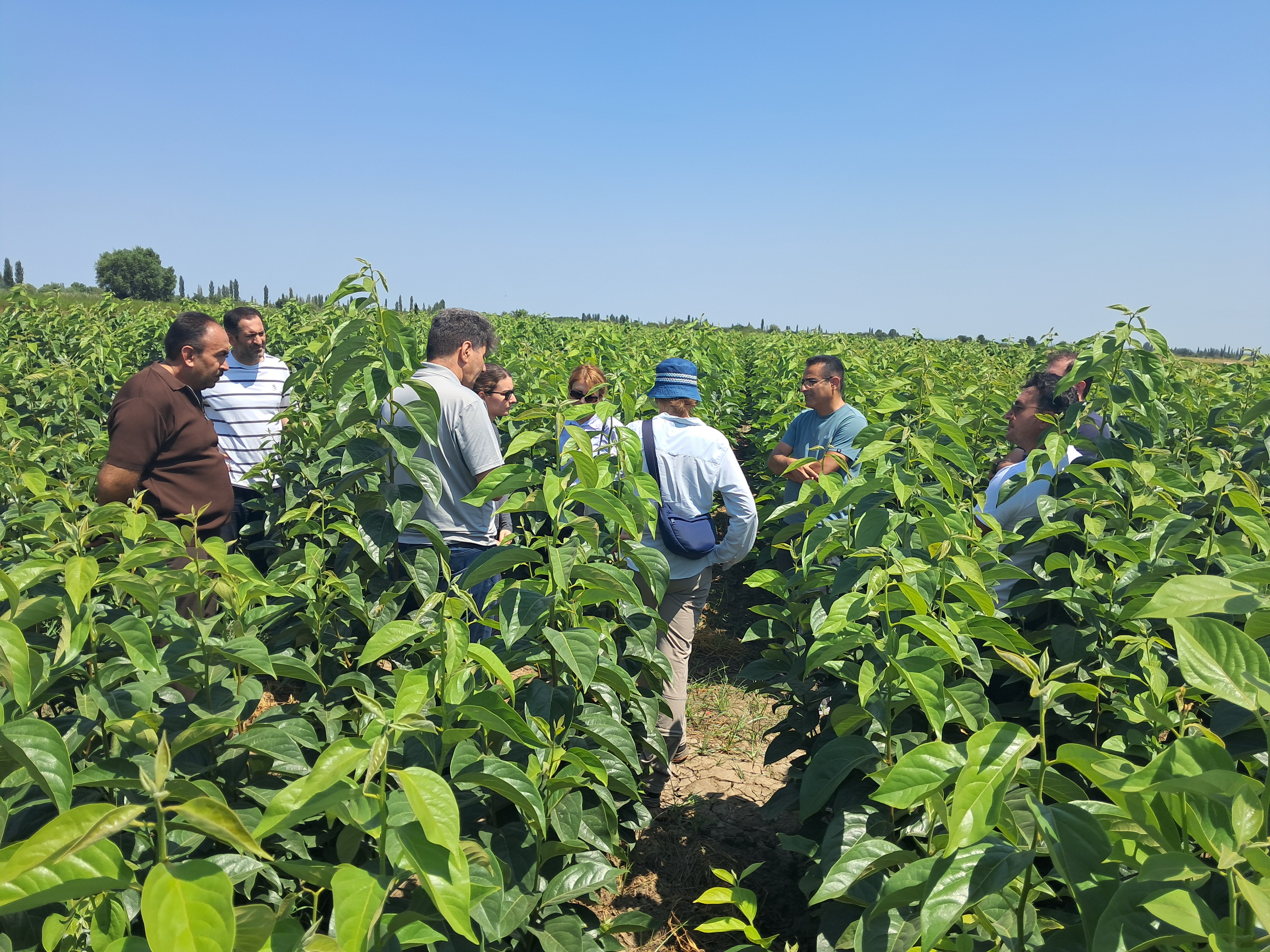PROGRESS Pilot Initiatives Demonstrate Practical Climate-Resilient Agriculture Solutions in Azerbaijan