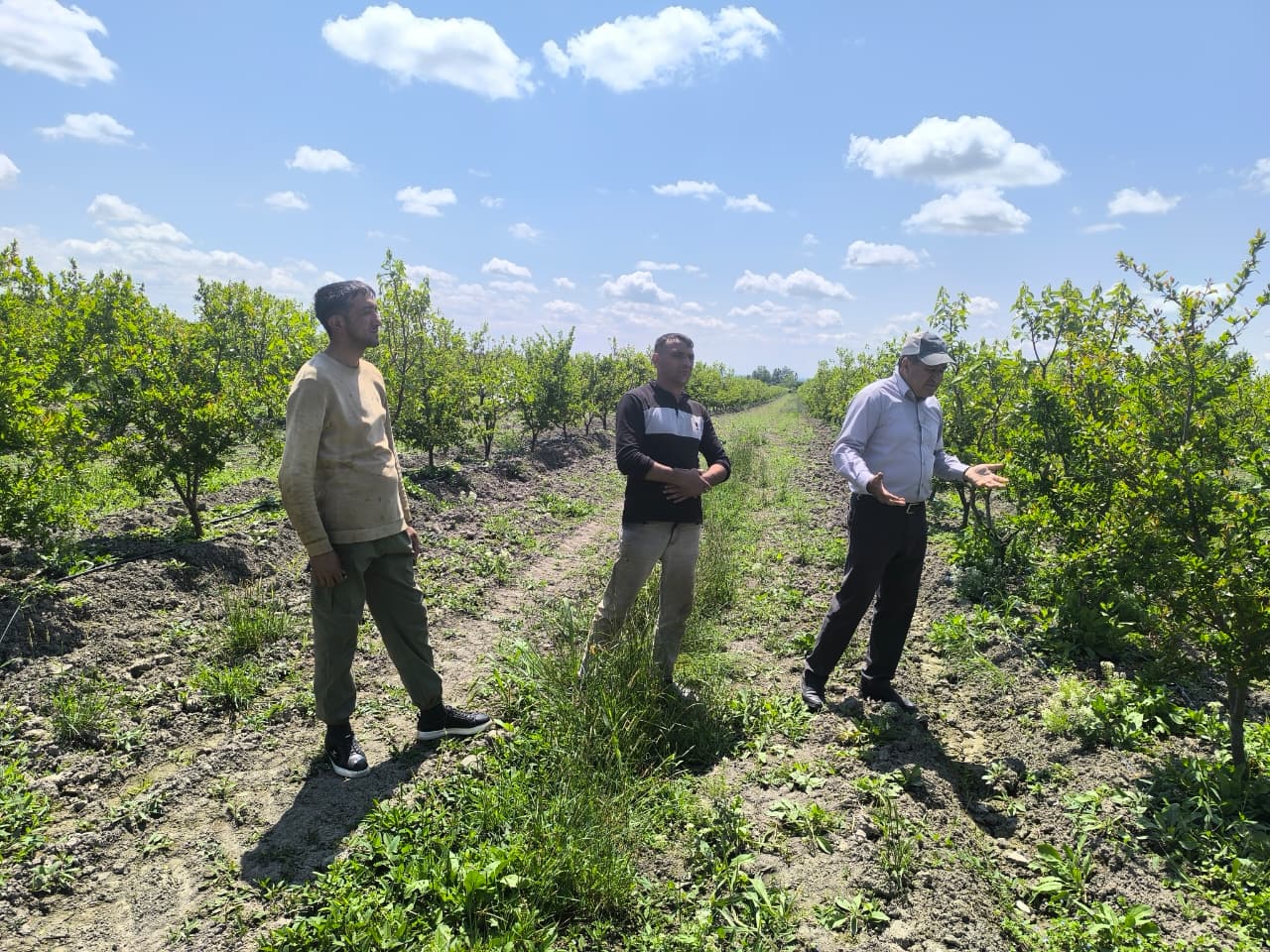 Current Status of PROGRESS Pilot Projects Reviewed During Regional Field Visit Opening Paragraph