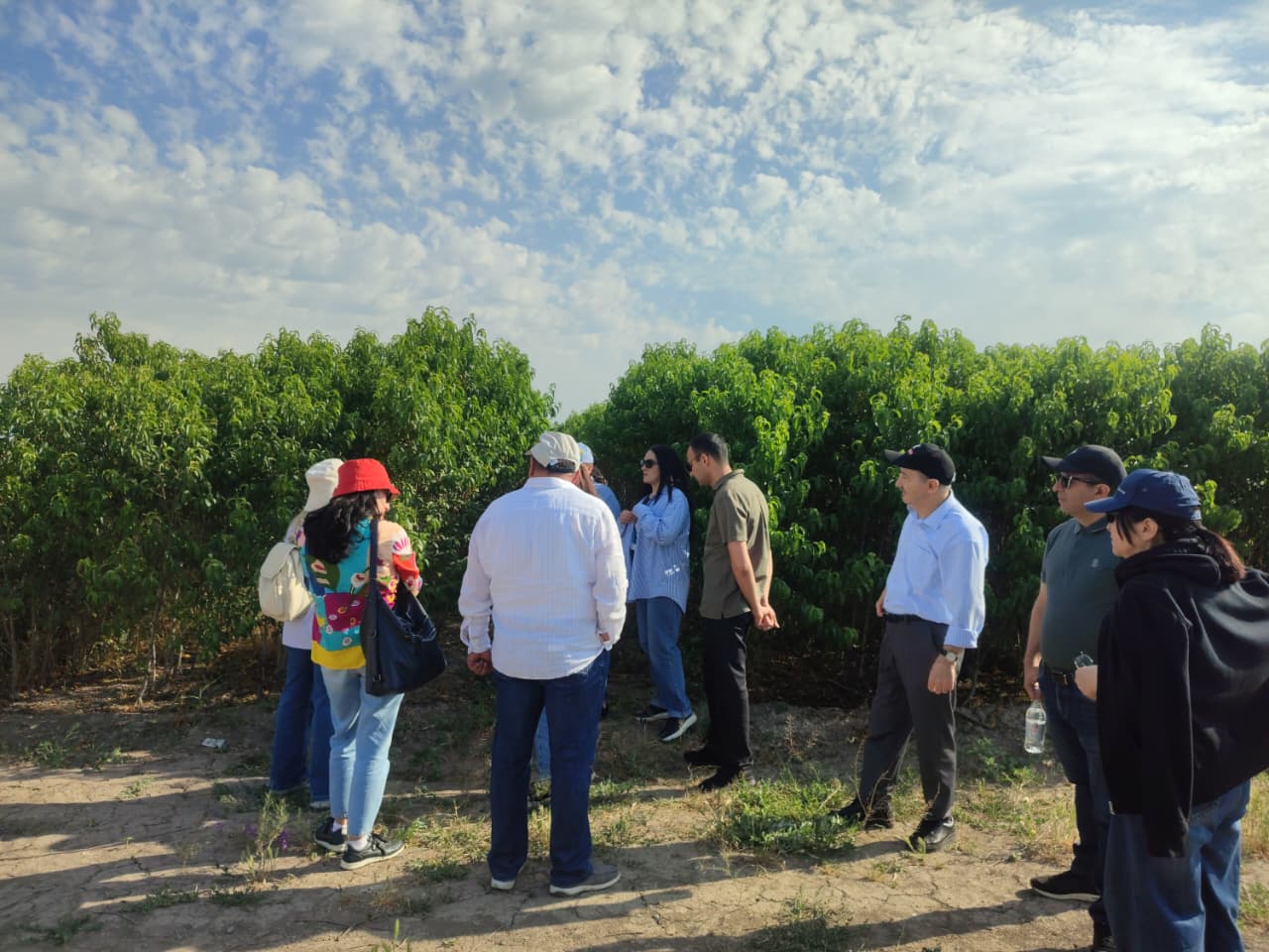 Strengthening climate-resilient agriculture through certified planting materials